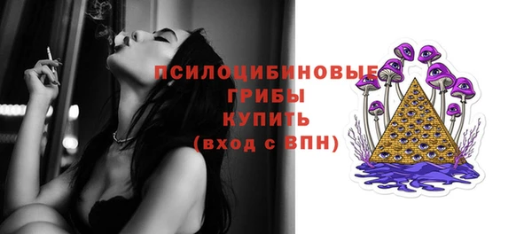 ГАЛЛЮЦИНОГЕННЫЕ ГРИБЫ Аркадак