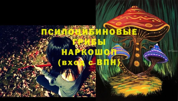 ГАЛЛЮЦИНОГЕННЫЕ ГРИБЫ Аркадак